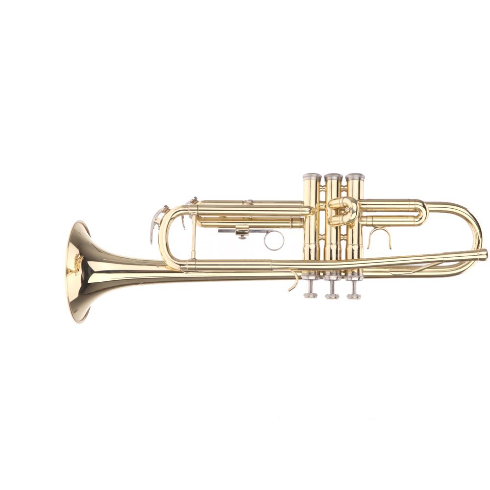  BB Beginner Trumpet Flat Brass with Mouthpiece Gloves Case U2T6  eBay